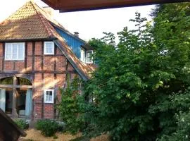Fewo Haus Patze