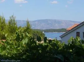 Apartment GREEN Jelsa