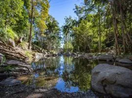 Tamborine Mountain Glades
