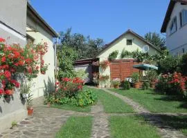 Garden City Apartment