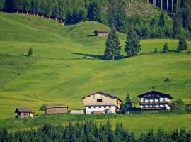 Ferienhaus Hochwimmer, lággjaldahótel í Hollersbach im Pinzgau