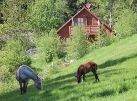 Karawankenpanorama 1. OG