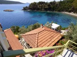 Odyssia near the Seaside
