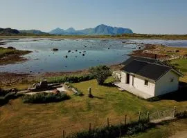 Bird View Lofoten