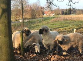 Ferienwohnung am Komisenpad