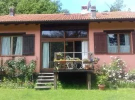 Il pettirosso di Giusvalla