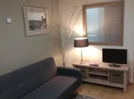 Coqueto apartamento centro VIGO con WIFI