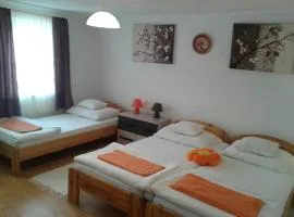 100 ÉVES NOSZTALGIA APARTMAN