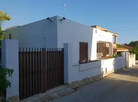 Triscina 83