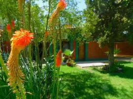 Cabañas Mirmar Mendoza