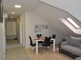 Klimatyzowany Apartament Paris