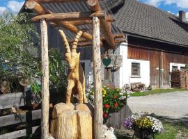 Lassacher Biobauernhof, ferme à Mariapfarr