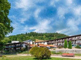 Kurgarten-Hotel: Wolfach şehrinde bir otel