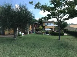 Cerasus B&B