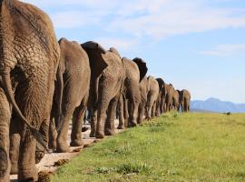 Knysna Elephant Park Lodge, chalet di Plettenberg Bay