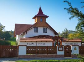 Buzás Pince Vendégház, hotel con piscina a Ecséd