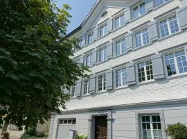 Modernes Apartment in historischem "Haus zur Rose"