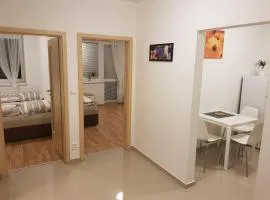 NEWLY BUILT APARTMENT 4 WITH BALCONY NEAR CENTER