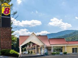 Super 8 by Wyndham Caryville TN, hotel a Caryville