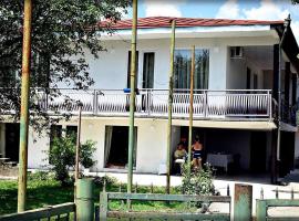 guest house QEDI, cheap hotel in Jvari