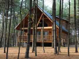 The Cabins at Pine Haven - Beckley, готель біля визначного місця Beckley-Raleigh County Convention Center, у місті Beaver