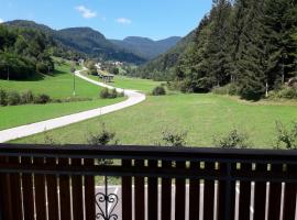 Simnovi apartmaji - surrounded by nature, hotel blizu znamenitosti Terme Snovik, Kamnik