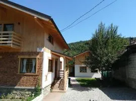 Guest House Carpathia