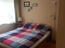 motylek