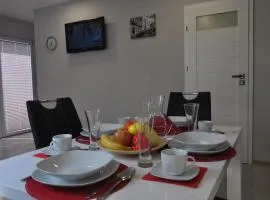 Klimatyzowany Apartament Paris
