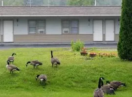The becket Motel