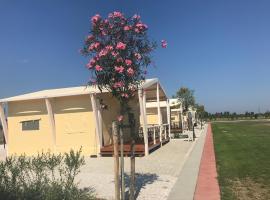 Vento etrusco