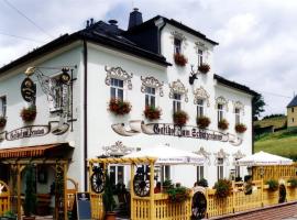 Landgasthof Zum Schützenhaus Sosa, отель в Айбенштоке