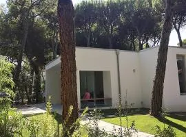 Minivilla