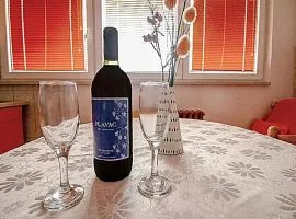 Apartman Penthaus u strogom centru Banja Luke