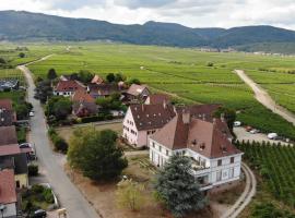gîtes au domaine Greiner，位于米特尔维的别墅