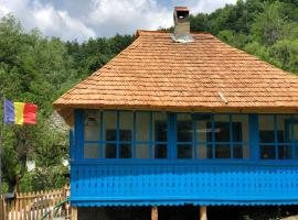 Casa Albastră, turistaház Cserépfürdőn