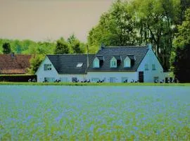 B&B Maison Kerkhove