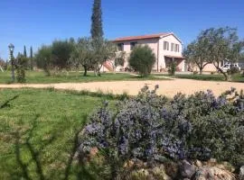 Agriturismo La Facenda