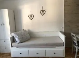 Apartma Vintage Bohinj