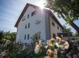 Hotel am Ring, guest house in Magdeburg