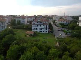 Apartments Ana