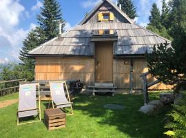 Chalet Košutnik Velika planina, отель в городе Камнишка-Бистрица