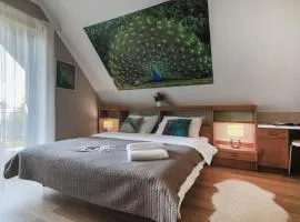 Villa Aviator