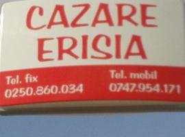 Erisia, hotel v mestu Horezu
