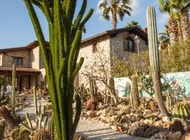 Garden Cactus