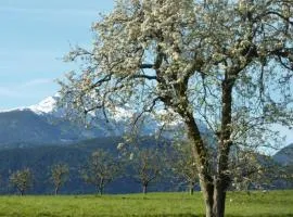 Appartamento a 1000 metri