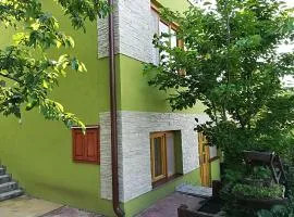 Hovirag apartman 1