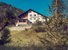 JoSchi Almgasthof Hochkar