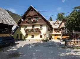 Farmhouse pri Miklavu