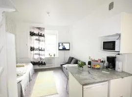 City Centre Apartment Puistokatu 29